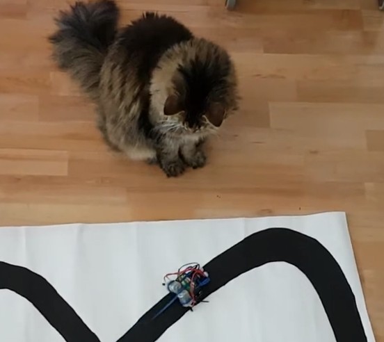 Fun to Play with …